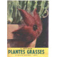 Plantes grasses