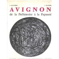 Avignon de la prehistoire à la papauté