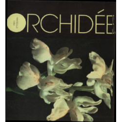 Orchidées / jardin botanique clot-bey