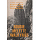 Escalades dans le massif des calanques / bougie-melette-walkyries