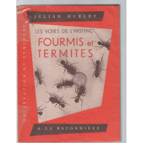 Fourmis et termites