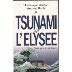 Tsunami sur l'élysée
