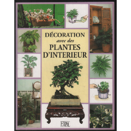 Décoration avec les plantes d'intérieur