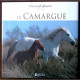 Le Camargue / chevaux d'exception