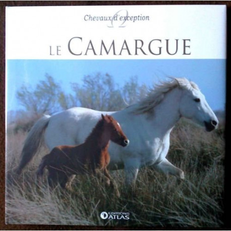 Le Camargue / chevaux d'exception