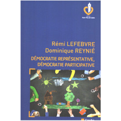 Démocratie représentative democratie participative