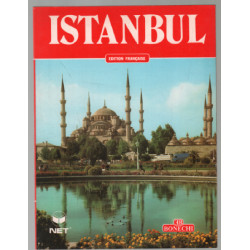 Istanbul (95 illustrations)