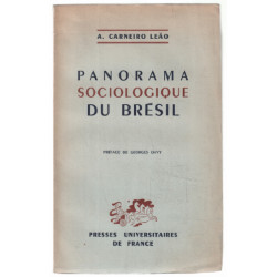 Panorama sociologique du brésil
