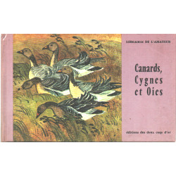 Canards cygnes et oies