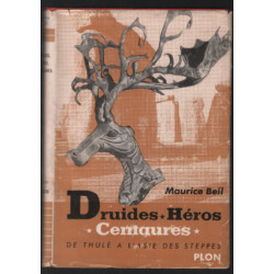 Druides héros centaure (avec sa carte)