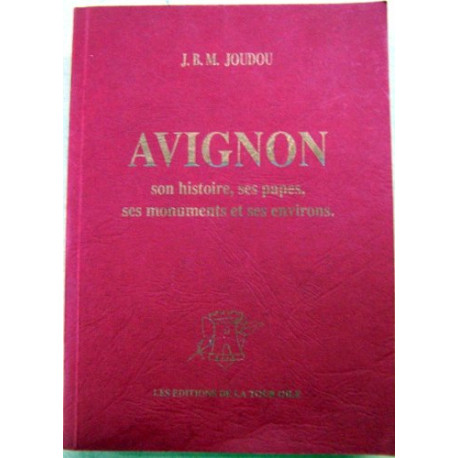 Avignon son histoire ses papes ses monumens et ses environs