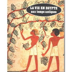 La vie en egypte aux temps antiques