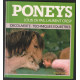 Poneys (découverte techniques équestres)