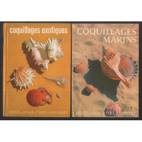 Coquillages marins + coquillages exotiques