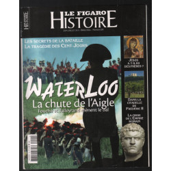 Waterloo : la chute de l'Aigle
