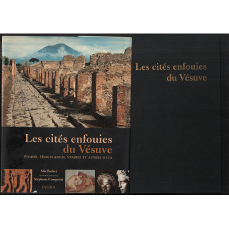 Les cités enfouies du Vésuve: Pompeï Herculanum Stabies et...