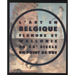 L'Art En Belgique: Flandre Et Wallonie Au XXe Siècle: un point de vue