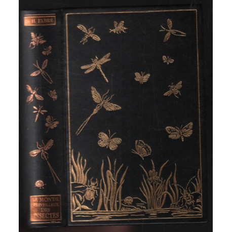 Le monde merveilleux des insectes (avec illustrations de l'époque))