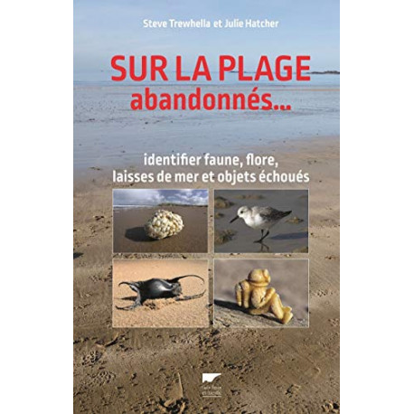 Sur la plage abandonnés...identifier faune flore laissés en...