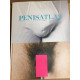 Penisatlas
