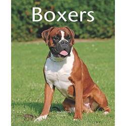 Boxers : bien les comprendre et bien les soigner