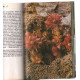 Fleurs des alpes ( avec photographies couleurs pleine page)