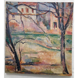 Cezanne dans les musées nationaux (orangerie des tuileries 19...