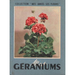 Géraniums