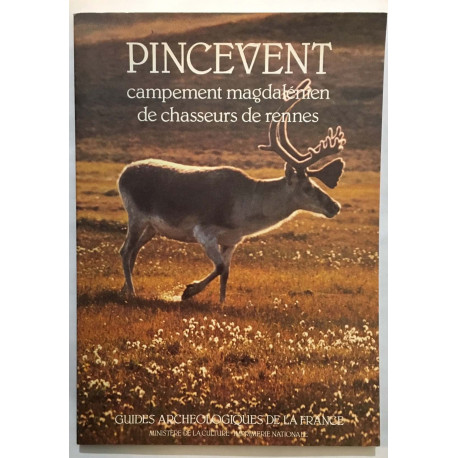 Pincevent : Campement magdalénien de chasseurs de rennes
