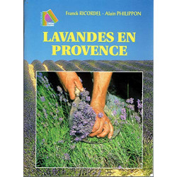 Lavandes en Provence