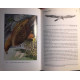 Les rapaces diurnes et nocturnes d'Europe ( édition de 2000 revue...