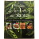 Bientfaits des herbes et des plantes : guide pour la culture des...