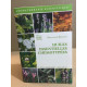 Huiles essentielles chémotypées