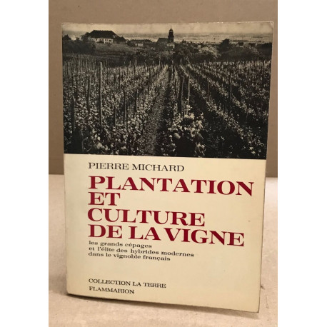 Plantation et culture de la vigne