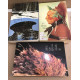 1 lot de 3 romans de Jim Harrison / en route vers l'ouest -entre...