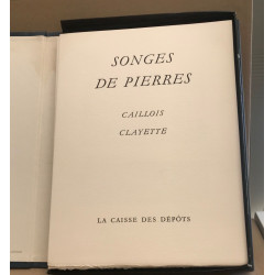 Songes de pierres / 5 compositions originales de Pierre clayette