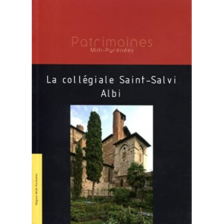 La collégiale Saint-Salvi Albi