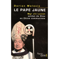 Le pape jaune : Mgr Jin Luxian soldat de Dieu en Chine communiste
