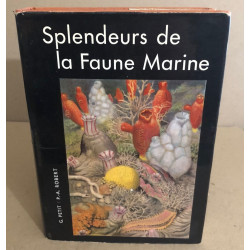 Splendeurs de la faune marine / 32 planches en couleurs et 42 dessins