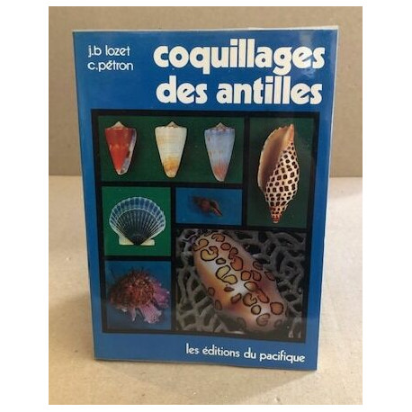 Coquillages des Antilles