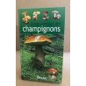 Guide complet des champignons
