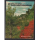 Petit guide panoramique de la flore méditerranéenne