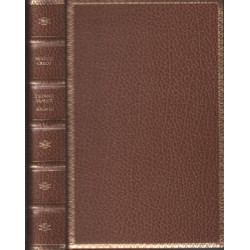 L'homme traqué brumes