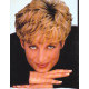 Diana : 1961-1997