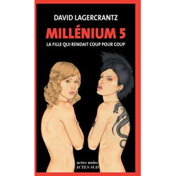 Millénium 5 - La fille qui rendait coup pour coup