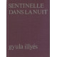 Sentinelle dans la nuit