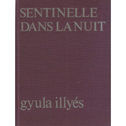 Sentinelle dans la nuit