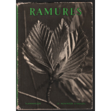 Ramures