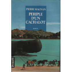 Périple d'un cachalot