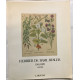 Herbier de Basil Besler 1561-1629 / extraits (14 planches)